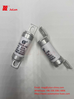 Fuseaux électriques en céramique 750VDC pour une recharge sûre dans les automobiles 63A25A 15A 30A 750VDC RS308 FUSE