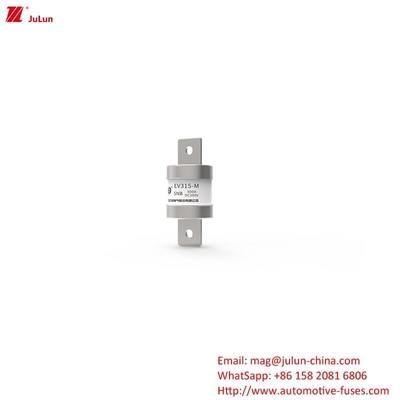 Adaptateur de chargeur de véhicule électrique compatible avec le fusible DC500V à tube rond