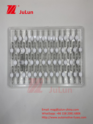 Automobile en céramique ASTM A121601 Fuse Véhicule électrique 300A 125VDC