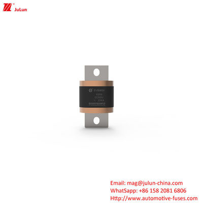 EV8-MKM 450A-1000A DC500V Fuseau de sécurité boîtier pour le terminal de véhicule électrique