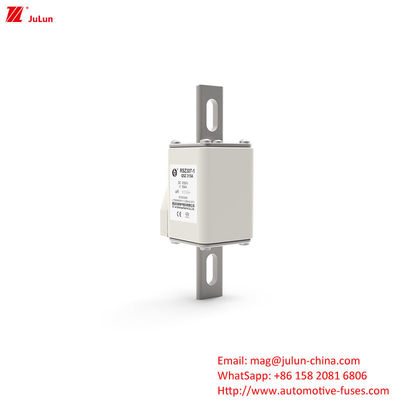 160A-550A DC1000V Fuseau de véhicule électrique RSZ307-1-Q5Z Type de borne