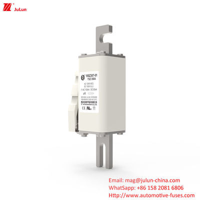 200A DC1000V Fuseau haute tension pour équipement électrique Boulon sur les fusibles pour la protection partielle de la portée