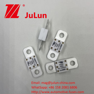 ASTM A202001-250A 150VDC Fuses céramiques pour véhicules à courant nominal élevé pour la protection contre les courts-circuits