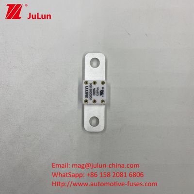 Les disjoncteurs automobiles A202008 100A 100VDC EV FUSE ASTM