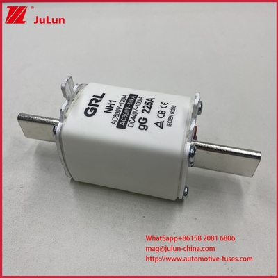 Fusible NH000 NT000 300A 225A 500V 120kA à haute pouvoir de coupure, à lame contacteur GG-gL