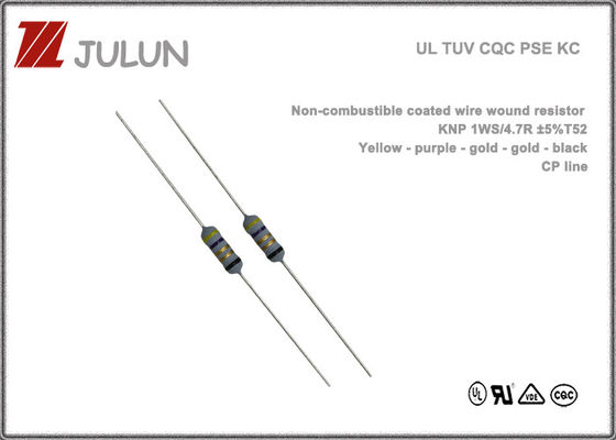 Résistance enduite non combustible de blessure de fil 125V 250V pour l'alimentation d'énergie