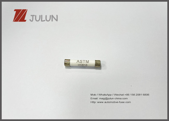 Le tube en céramique temporaire rapide de 600VAC/C.C fond 6x30mm pour des instruments de mesure de Digital